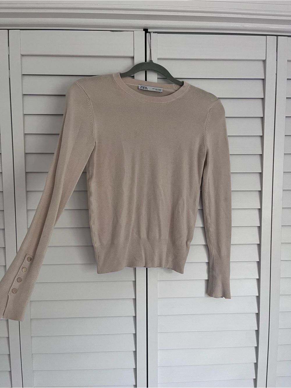 Zara Long Sleeve Crewneck Top in Light Taupe